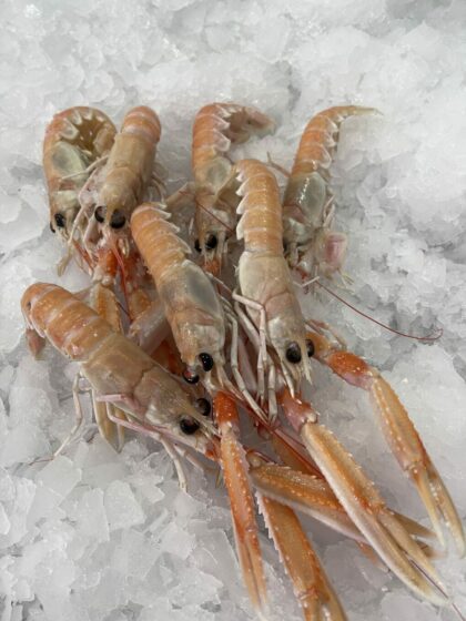 langoustine